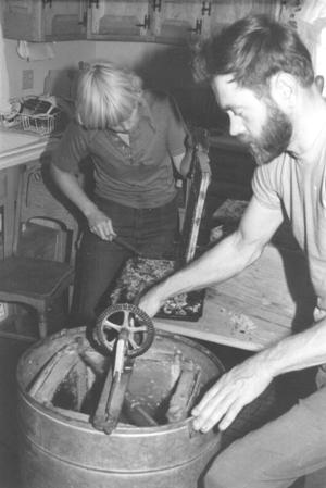 Extracting the honey